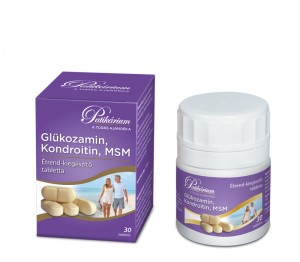 Glükozamin-Kondroitin-MSM